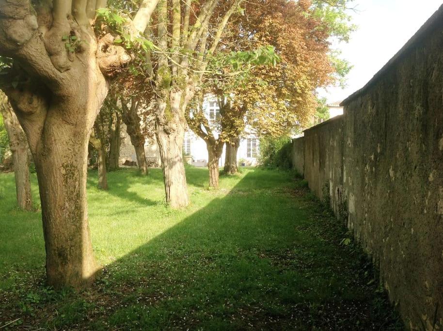 Ancien Presbytere Au Coeur Du Village Mauvezin  Luaran gambar